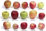 distintos tipos de manzana